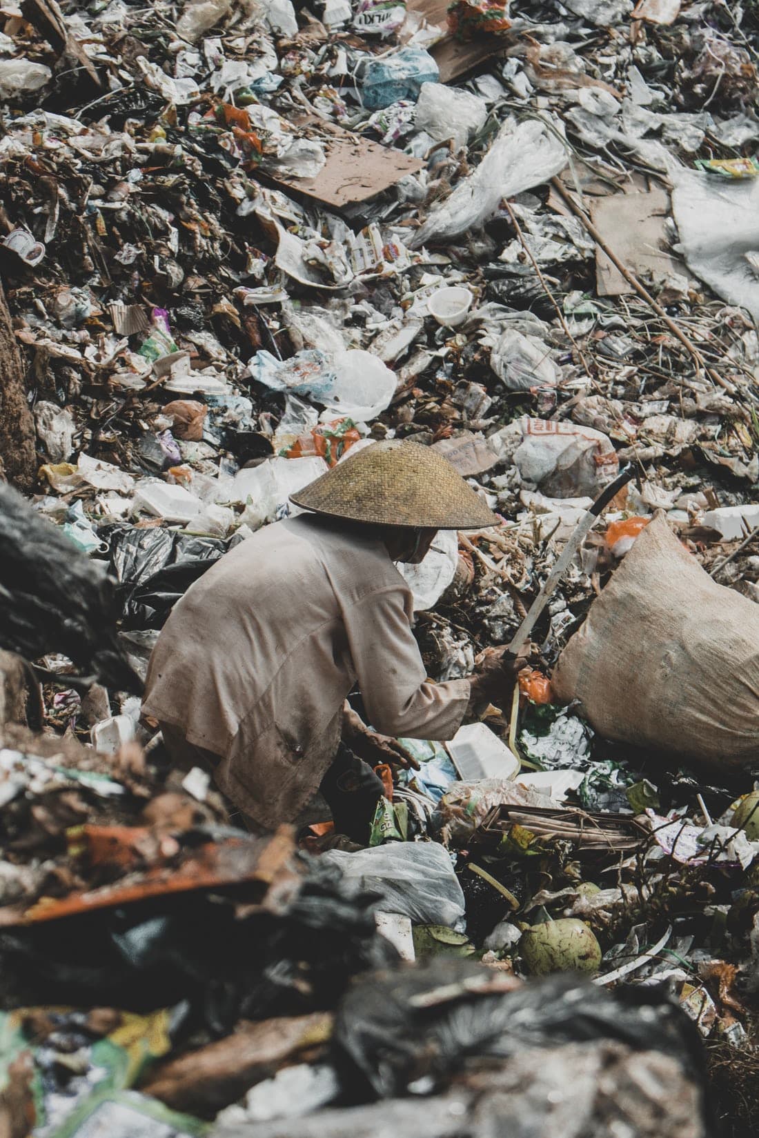 How Machine Learning and AI helped scientists reduce plastic breakdown time by 9000%.